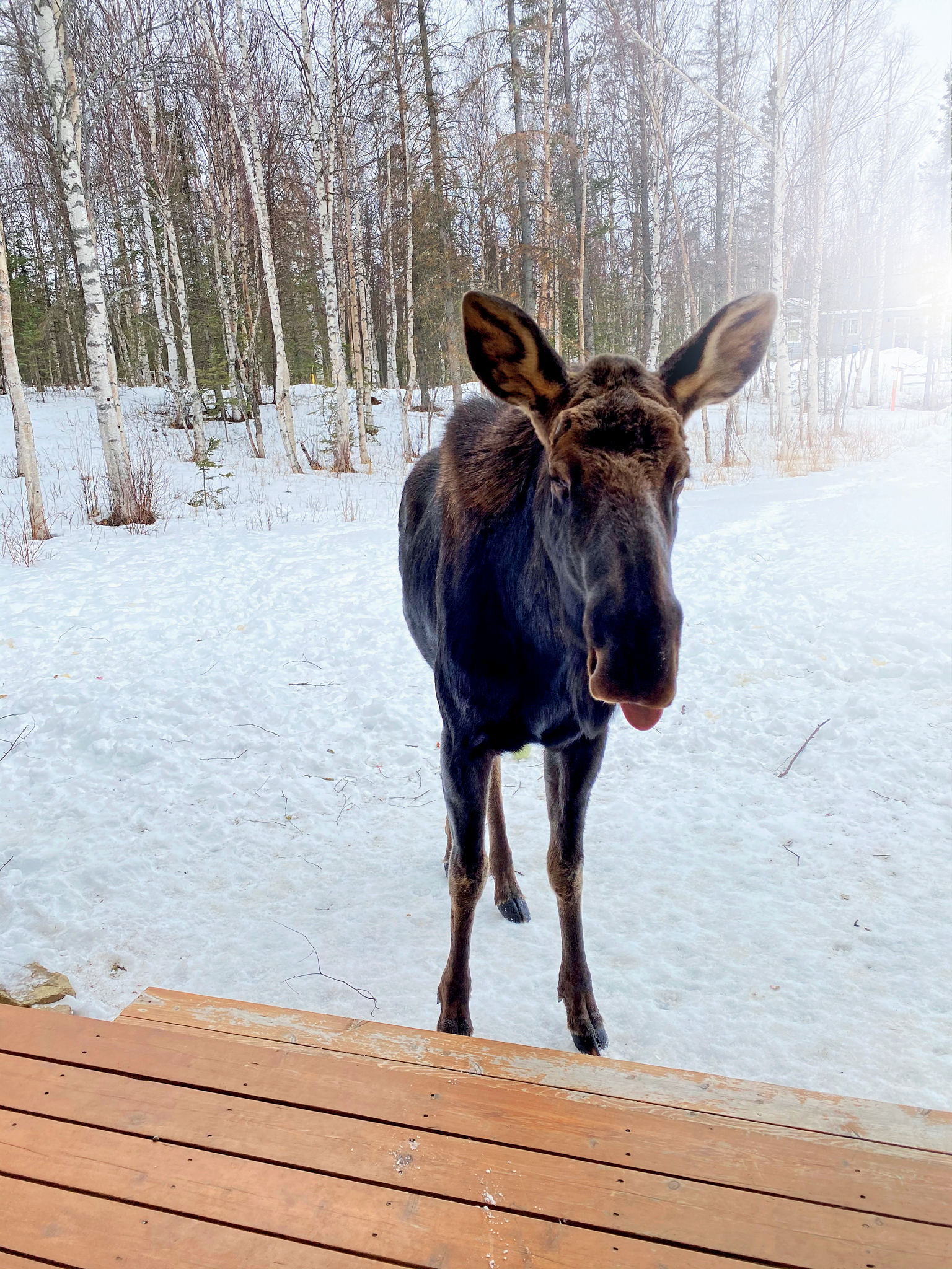Viktor Kessler | Bishkek | Kyrgyzstan