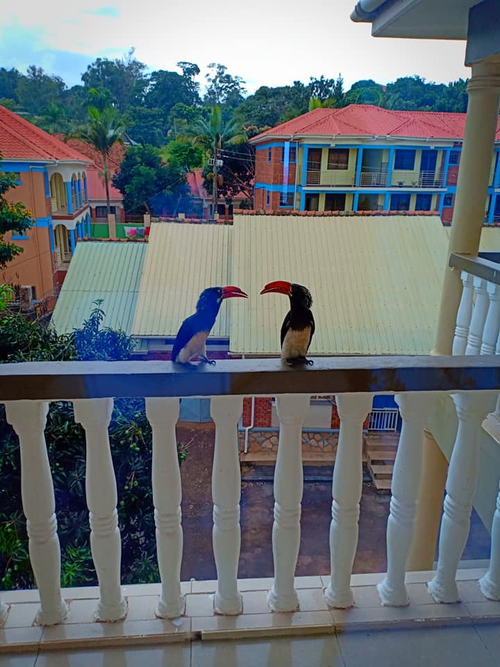 Viktor Kessler | Bishkek | Kyrgyzstan