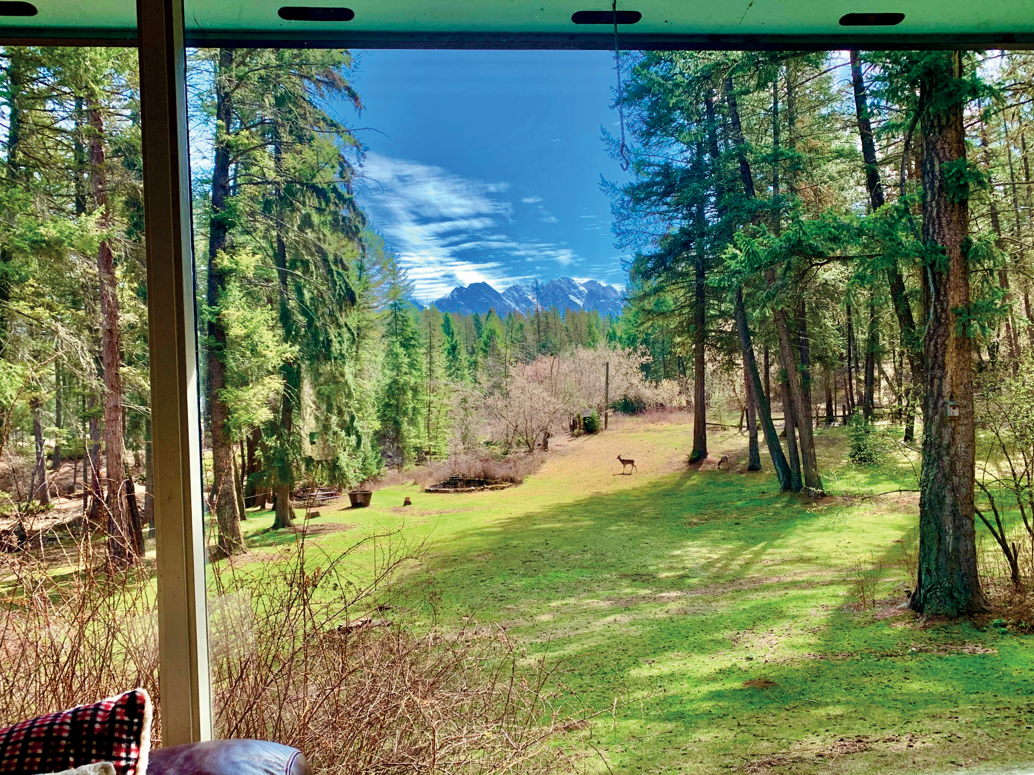 Viktor Kessler | Bishkek | Kyrgyzstan