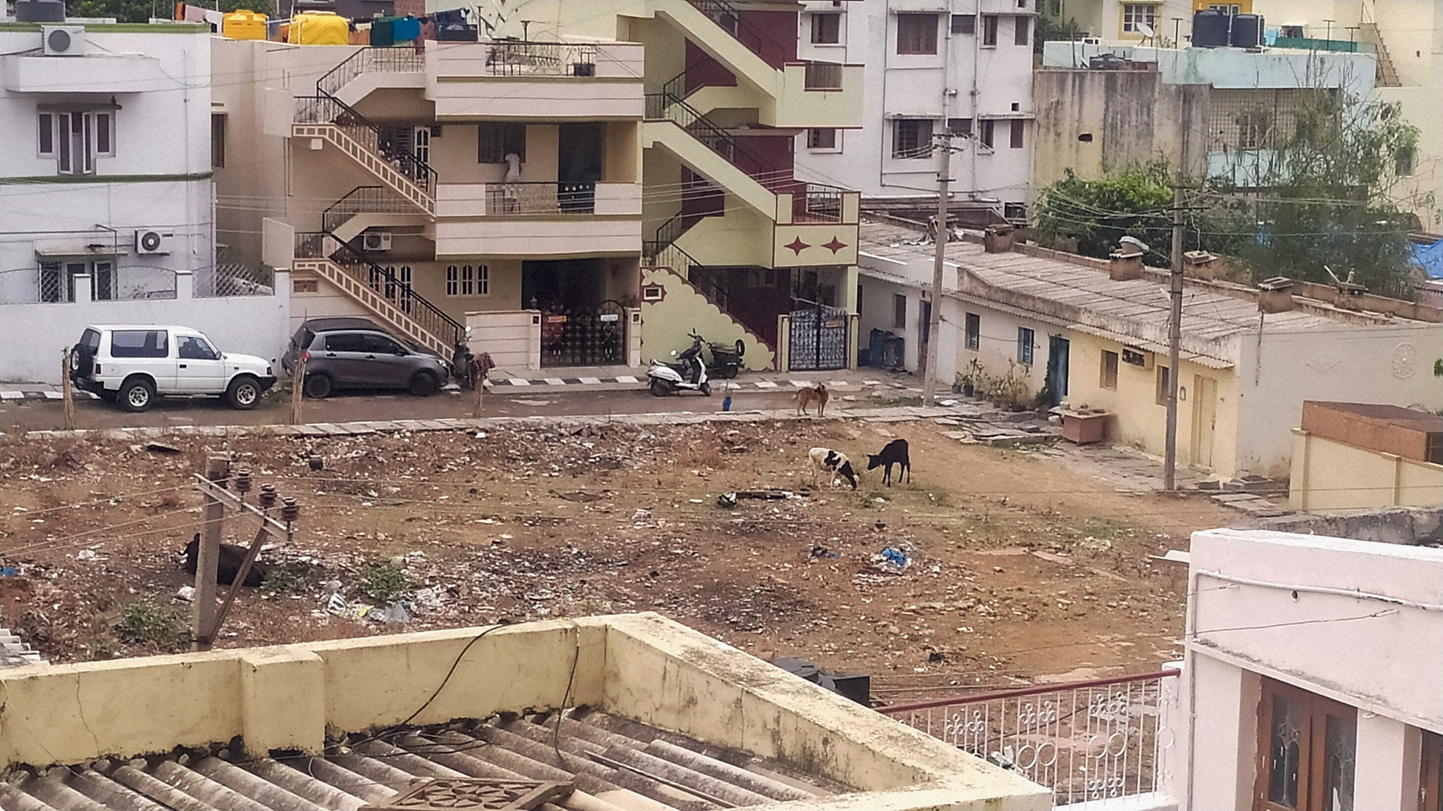 Viktor Kessler | Bishkek | Kyrgyzstan