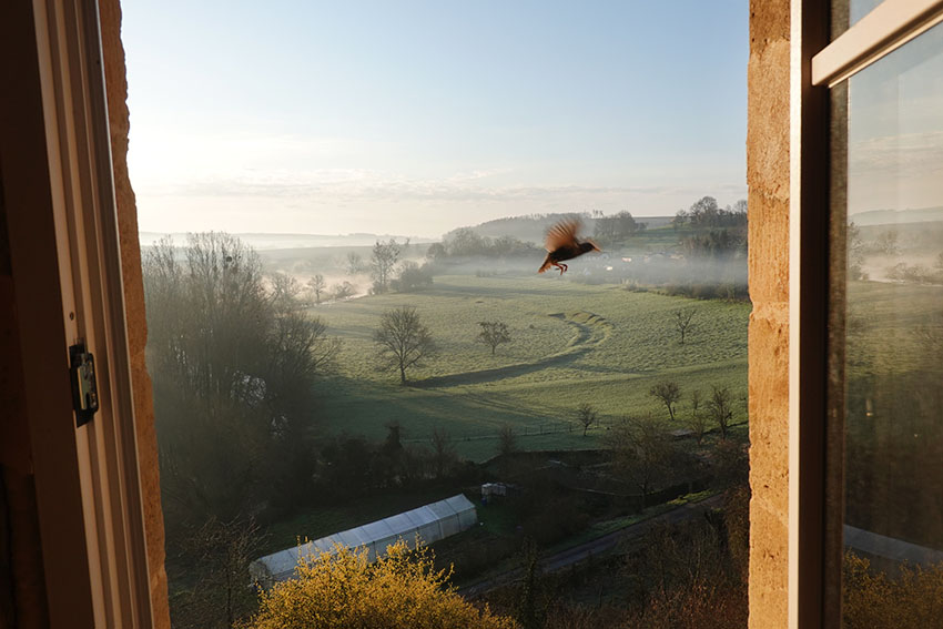 Viktor Kessler | Bishkek | Kyrgyzstan