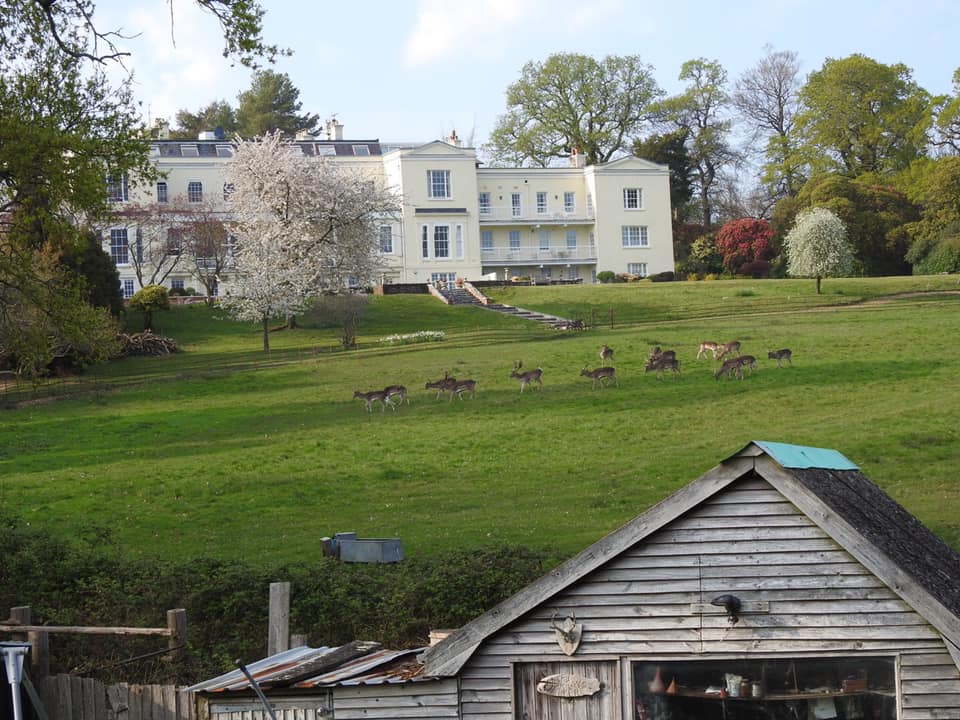 Viktor Kessler | Bishkek | Kyrgyzstan
