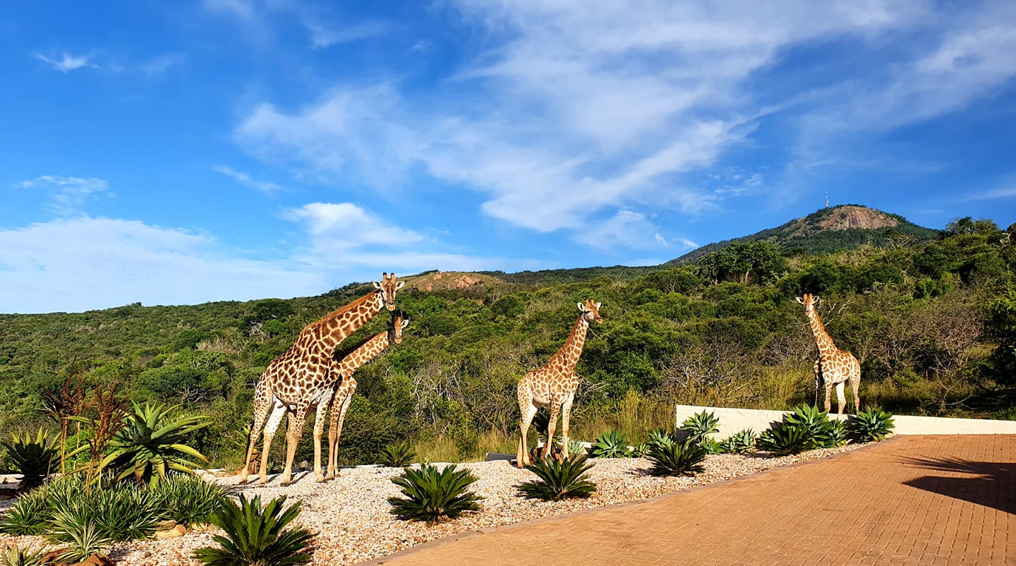 Viktor Kessler | Bishkek | Kyrgyzstan