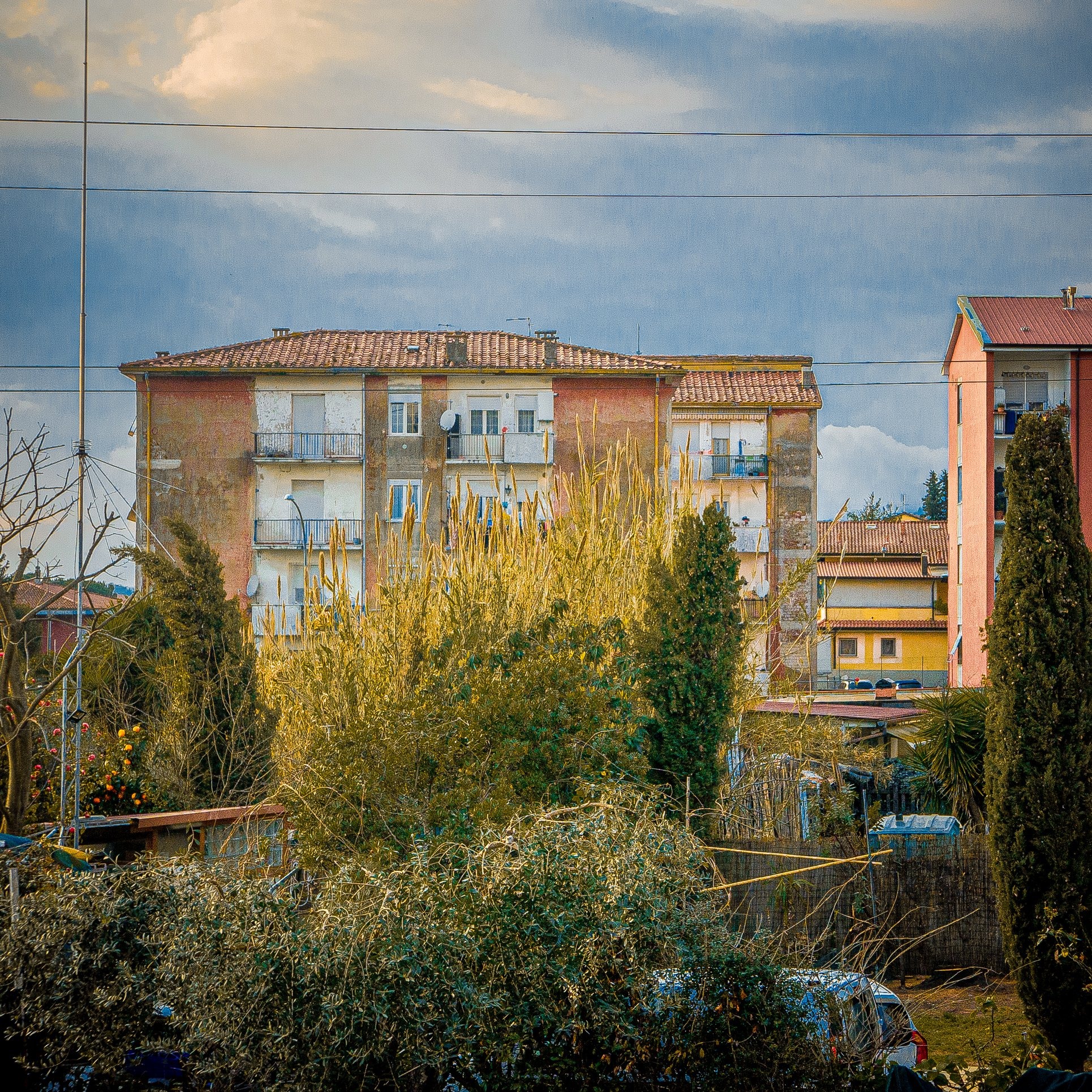 Viktor Kessler | Bishkek | Kyrgyzstan