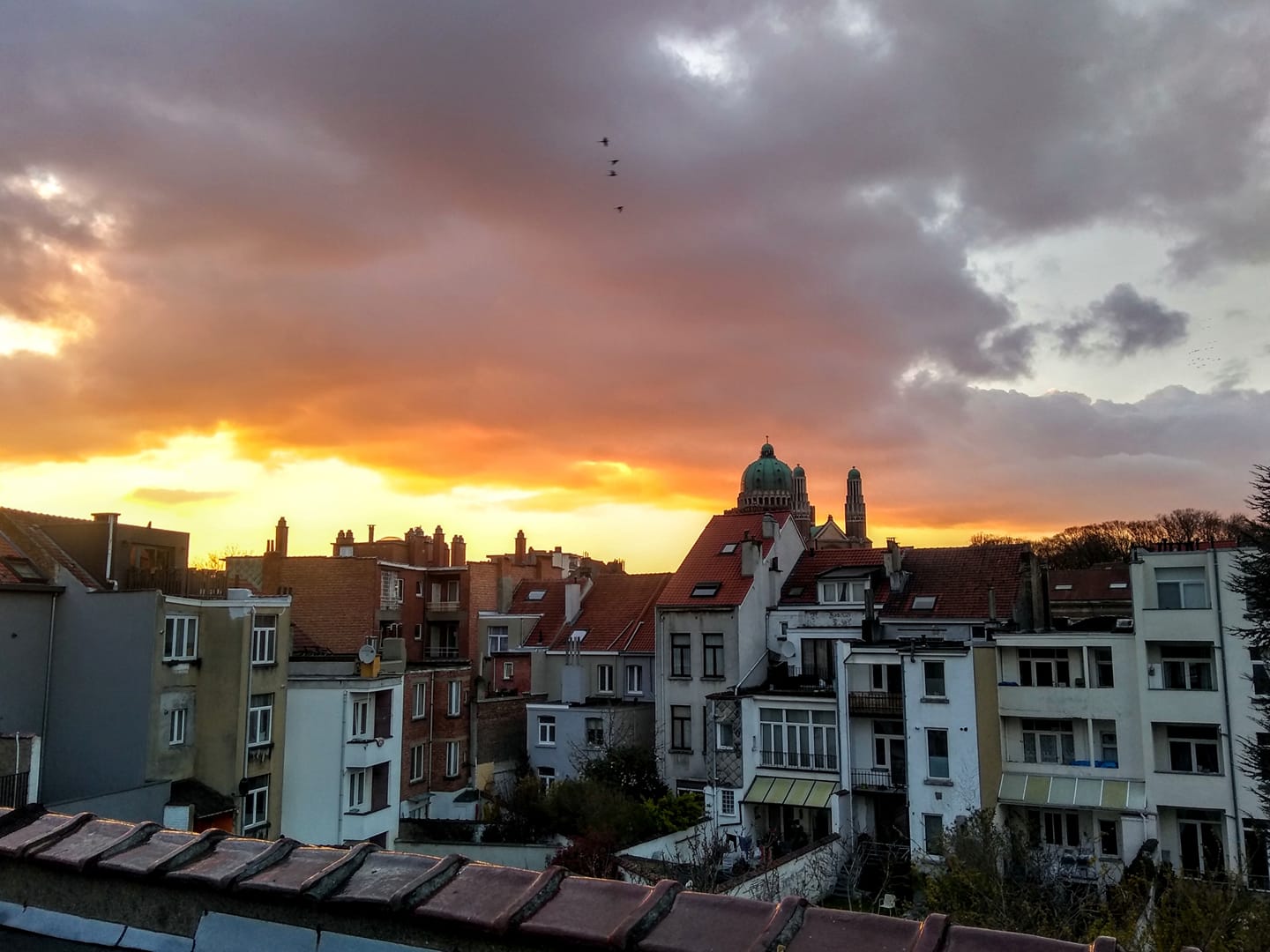 Viktor Kessler | Bishkek | Kyrgyzstan