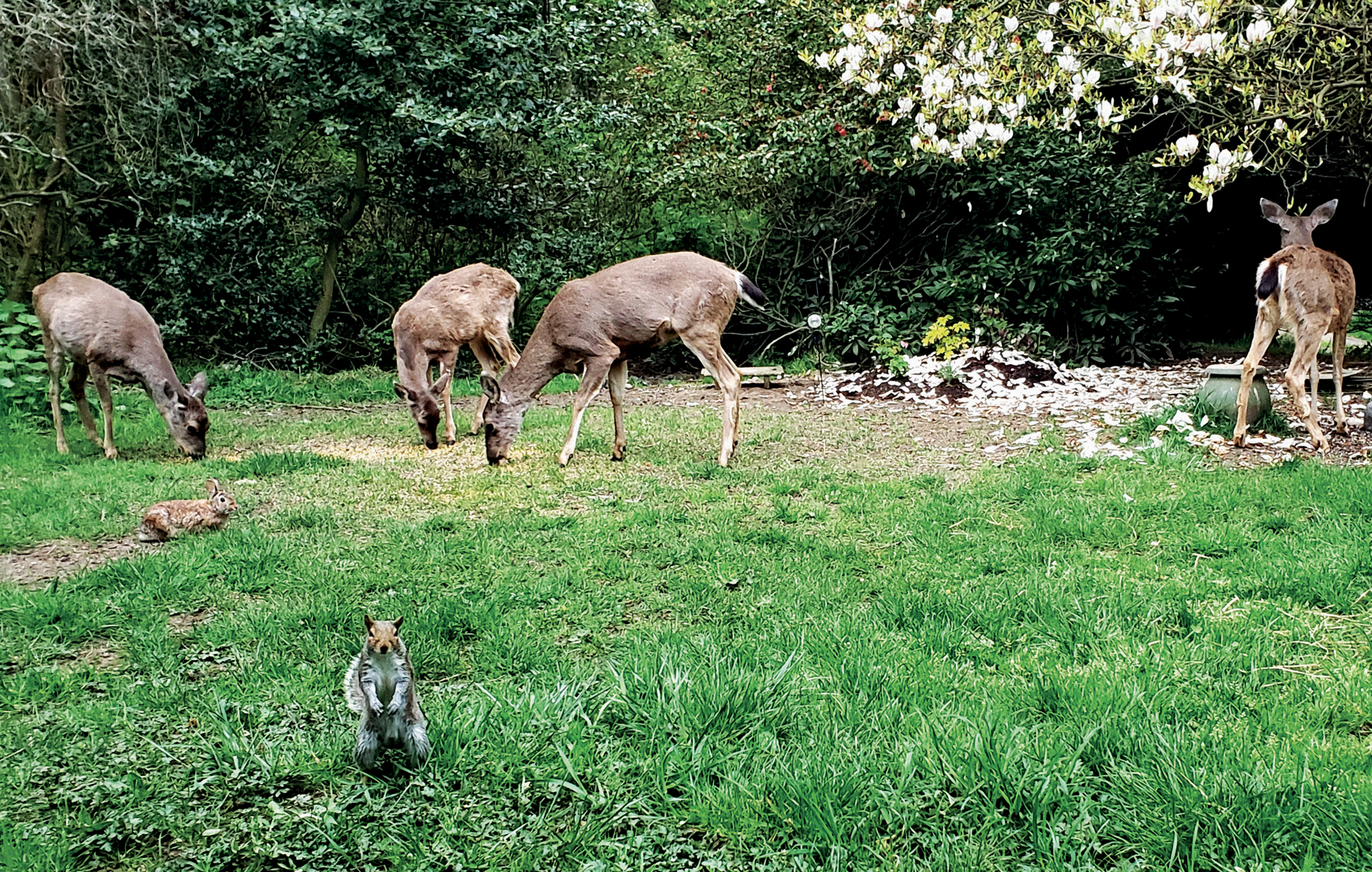 Viktor Kessler | Bishkek | Kyrgyzstan