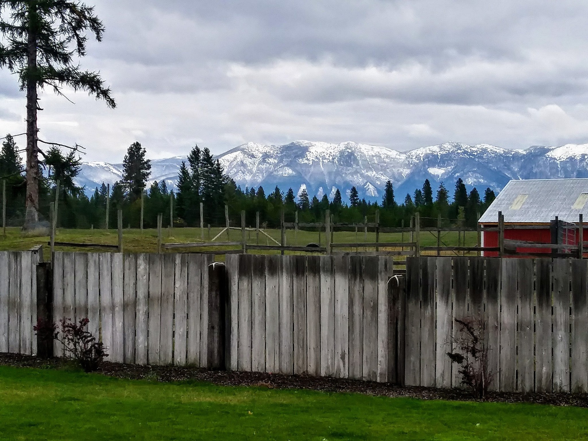 Viktor Kessler | Bishkek | Kyrgyzstan