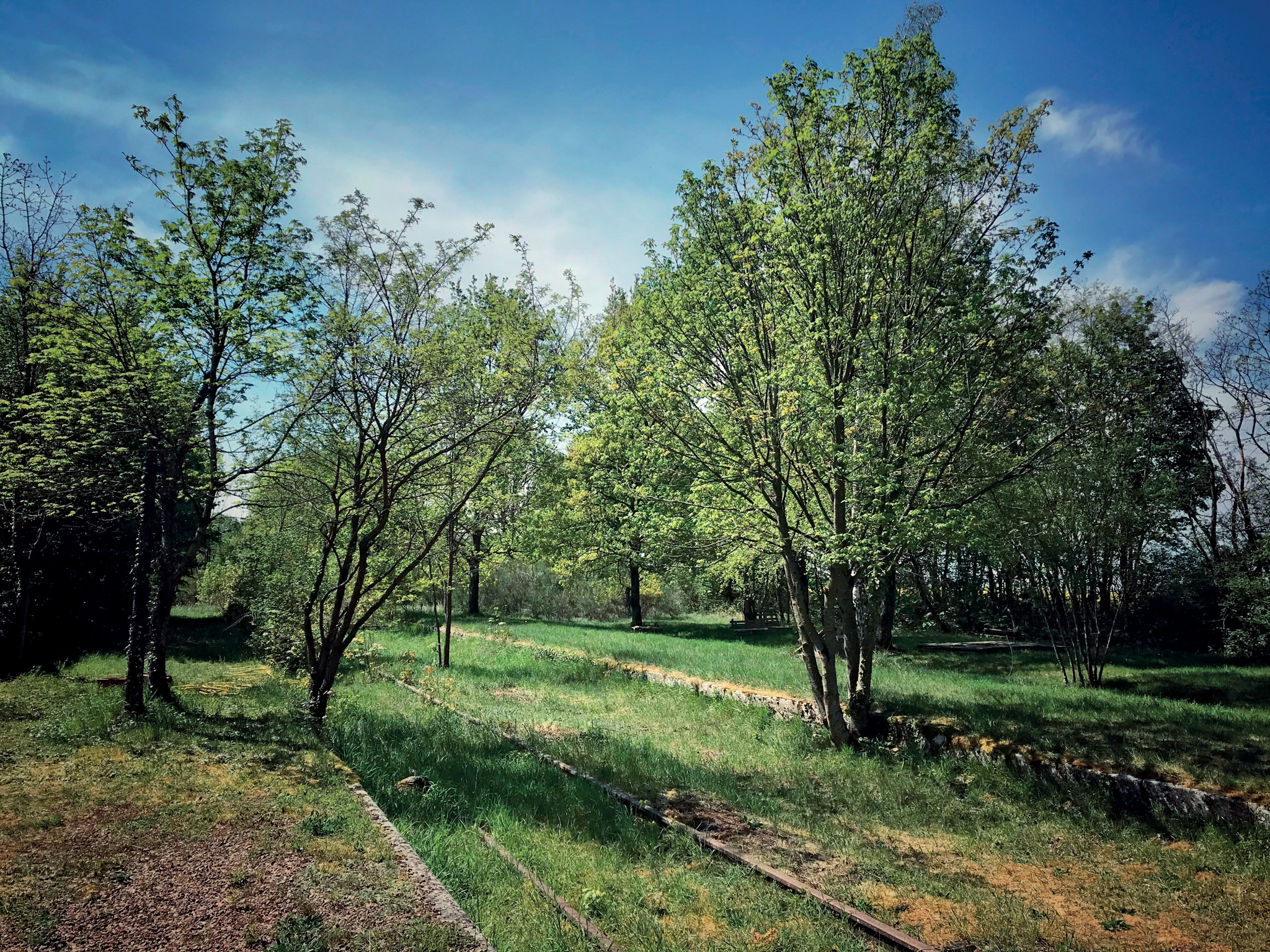 Viktor Kessler | Bishkek | Kyrgyzstan